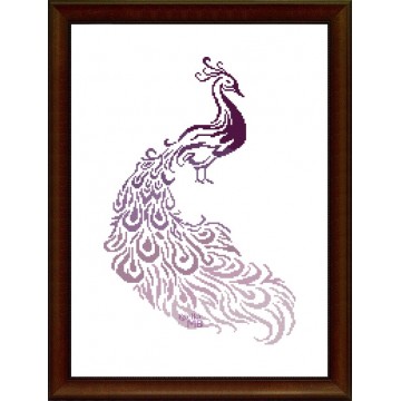 031. - Peacock in shades of...