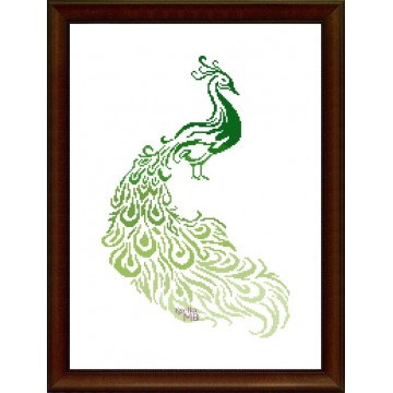 032. - Peacock in shades of...