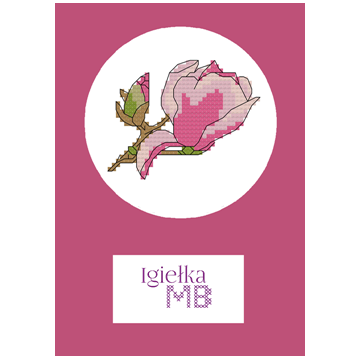 1196. - Kwiat magnolii...