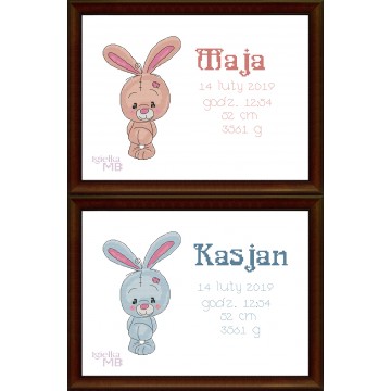 1335. - Birth announcement...